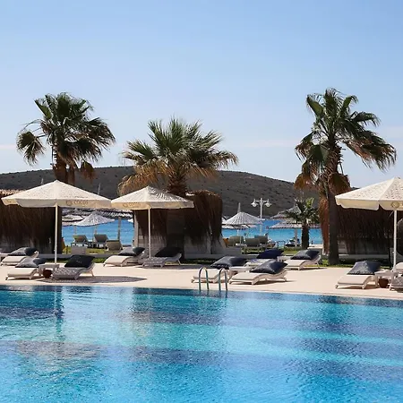 Cocos The Club Solto Alacati