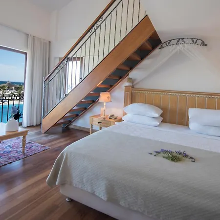 Cocos The Club Solto מלון 4*