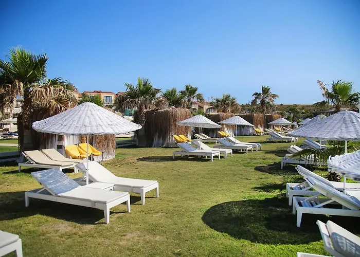 Cocos The Club Solto Алачати