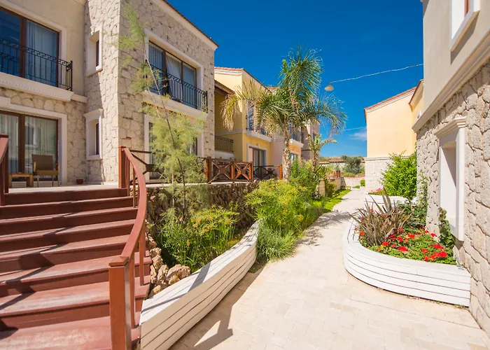 Cocos The Club Solto 4*