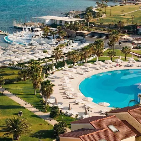 Cocos The Club Solto