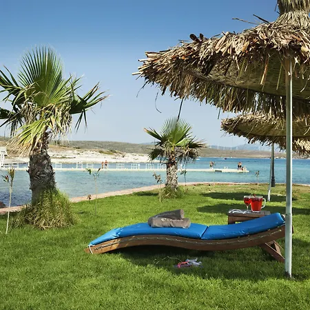 Hotel Cocos The Club Solto 4*