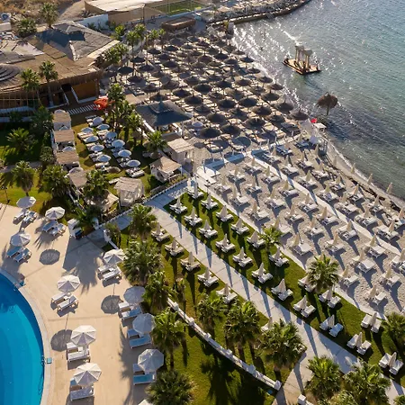 Cocos The Club Solto ألاتشاتي