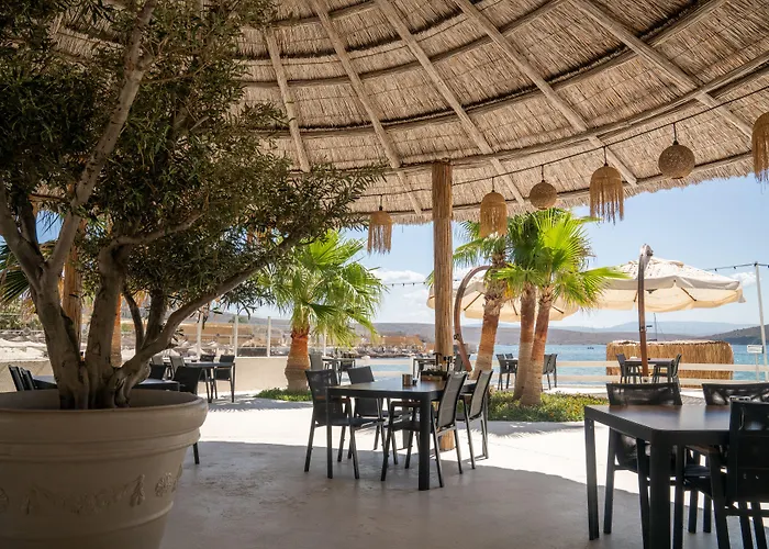 Cocos The Club Solto 4*