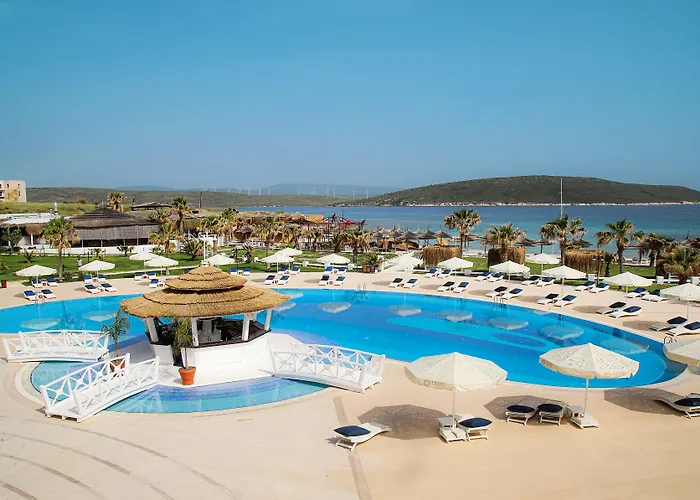 Cocos The Club Solto